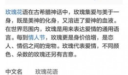 久久微电影在线观看,在线观看，感受时光流转的温馨瞬间